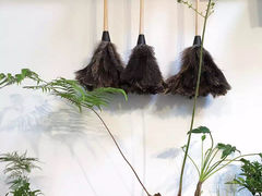 -植觉