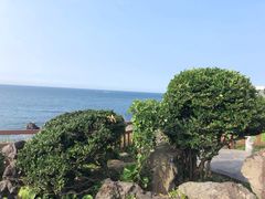 -龙头岩(Dragon Head Rock)