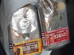 -文府路口(Taiwan High Speed Rail Zuoying Station)