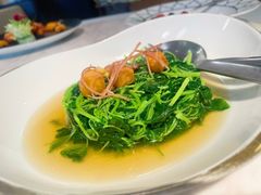 -伯衡55·吉品轩(乌鲁木齐南路店)