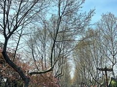 -宜兴龙背山森林公园