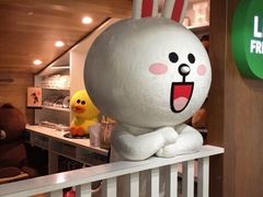 可妮兔-line friends(明洞旗舰店)