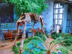 -中国第四纪冰川遗迹陈列馆