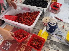 -桃源山庄·摘樱桃·柴火鸡·烧烤团建(龙泉山店)