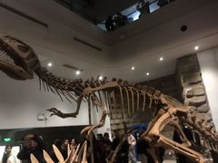 -自贡恐龙博物馆