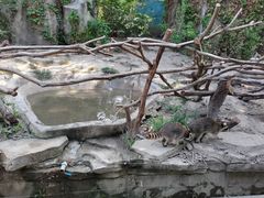 -宁波野生动物园