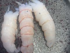 -黑木原精致料理·铁板烧