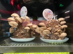 -捞王猪肚鸡火锅(金华义乌之心店)