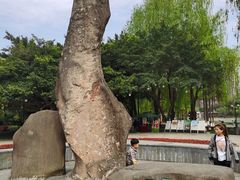 -温江公园