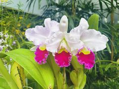 -北京植物园-展览温室