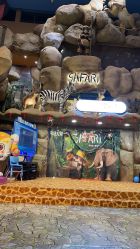 -卡通尼·Safari非洲探索乐园·生日会(金桥国际商业广场店)