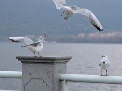 -滇池海埂公园