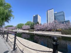 -元大都城垣遗址公园