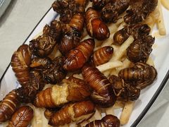 -海派美食·家宴海鲜青岛菜·石锅鲽鱼头(东方城店)