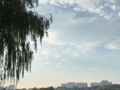 -济南大明湖景区