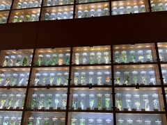 -南京医科大学(江宁校区)