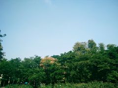 -人民公园(罗湖区)