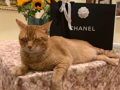 -CHANEL(恒隆广场店)