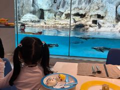 -帝企鹅自助餐厅•儿童岛•真企鹅(长隆企鹅酒店)