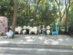 -合肥滨湖国家森林公园