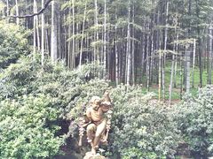 -杭州黄龙洞