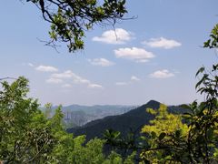 -黔灵山公园