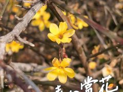-郑东新区湿地公园