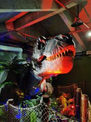 -恐龙探索乐园(磁器口店)