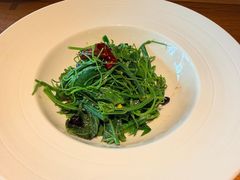 木姜子油拌苗菜-庆春朴门