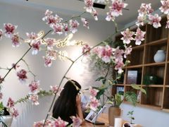 -花神·轻食简餐·咖啡馆·花卉绿植(荷兰花卉小镇店)