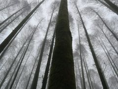-山王坪喀斯特国家生态公园