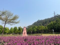 -顺峰山公园