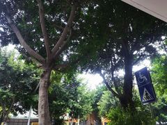 -Oasis coffee燕谷咖啡(公信店)
