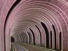 -渤公岛生态公园
