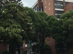 -上海科学技术职业学院