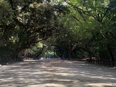 -热田神宫