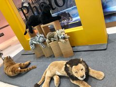 -中融恒瑞国际大厦