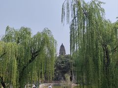 -洛阳白马寺