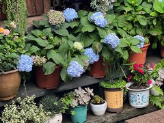 -龙姐私房菜(和顺古镇店)