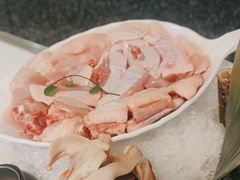 -洪氏嗨捞·猪肚鸡火锅(阳光天地店)