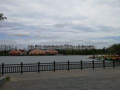 -上海长兴岛郊野公园