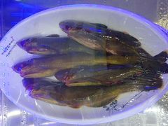 -掌勺人鱼馆(朝阳镇店)