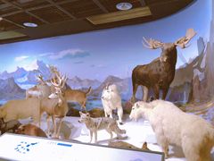 -陕西自然博物馆