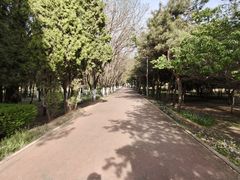 -阿尔丁植物园