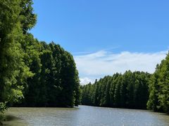 -上海海湾国家森林公园