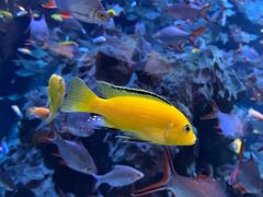 -成都浩海立方海洋公园