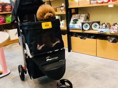 -小尾巴宠物店(万科·金域华庭店)