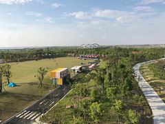 -春花秋色城市公园