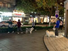 -帝戎(禾祥西路店)