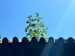 -城市海洋国标恒温游泳馆(株洲体育中心店)